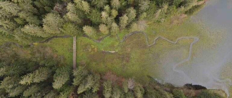 Стали відомі переможці фотоконкурсу «Закарпаття. Природні простори для життя і творчості»