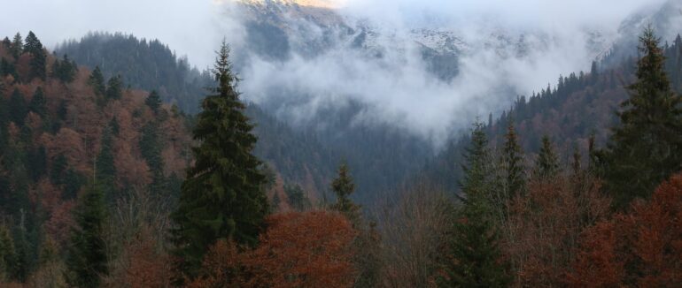 Чоловік, який три дні блукав у горах на Закарпатті, помер