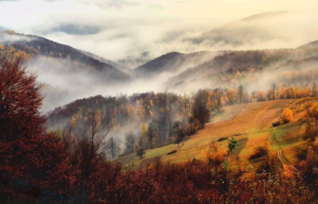 На вихідних на Закарпатті буде хмарно з проясненнями, вночі може бути дощ