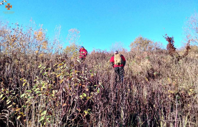 Грибника, що заблукав на Берегівщині знайшли мертвим