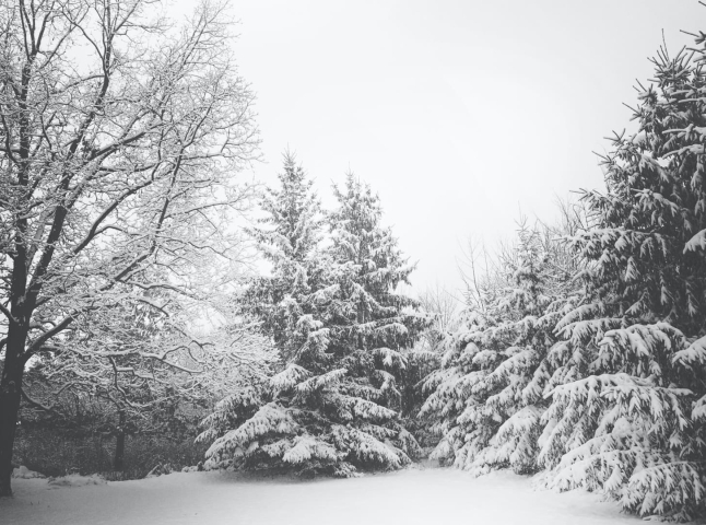 На Закарпаття суне негода