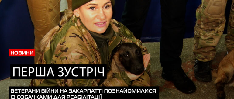 Перша зустріч: три собаки для каністерапії на Закарпатті познайомилися із господарями (ВІДЕО)