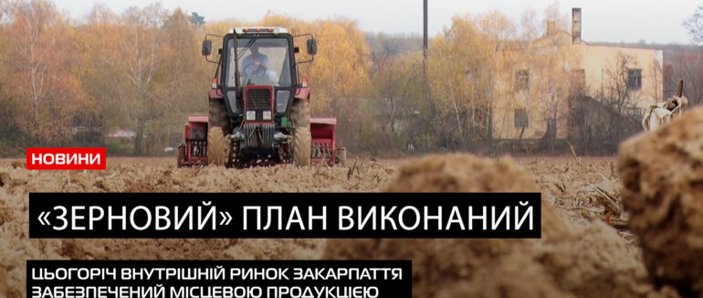 Цьогоріч внутрішній ринок Закарпаття забезпечений місцевою продукцією (ВІДЕО)