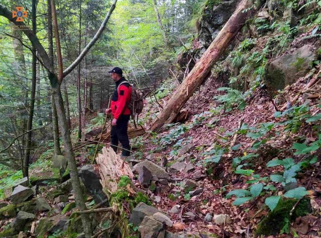 На Закарпатті чоловік пішов по гриби та не повернувся