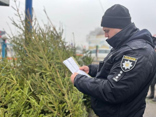 Поліція Закарпаття перевіряє ялинкові ринки на законність купівлі та продажу новорічних дерев