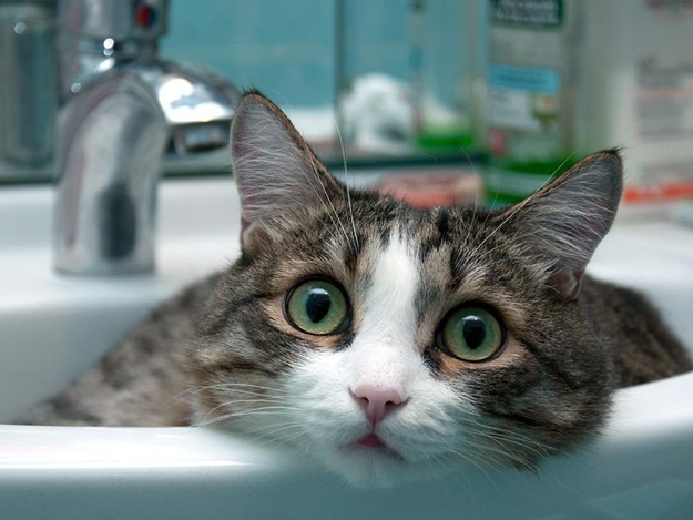 Ужгородський водоканал повідомив, де сьогодні не буде води