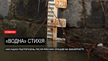 Закарпаття у воді: яка ситуація із підтопленням у районах області (ВІДЕО)