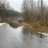 Рясні опади на Закарпатті призвели до підтоплень автошляхів та будинків