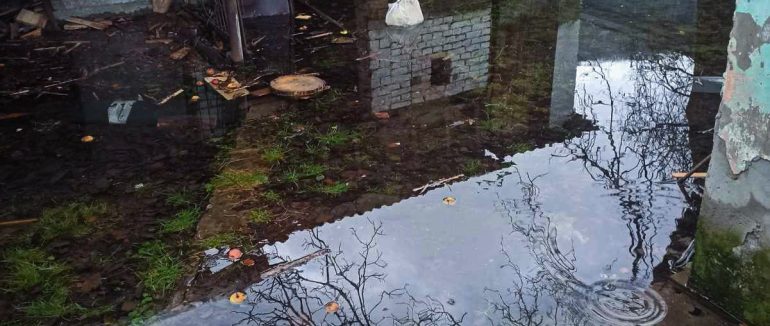 Залишаються підтопленими 776 га сільгоспугідь: наслідки негоди на Закарпатті