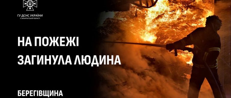 Загинув у вогні: через займання будинку у с. Підвиноградів не стало 41-річного чоловіка