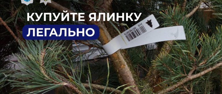 Сезон свят розпочався: закарпатців закликають купувати ялинки на офіційних ярмарках