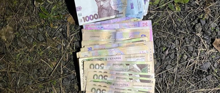 Біля Ужгорода затримали крадійку великої суми грошей
