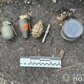 Гранати в особистих речах: у Нижніх Воротах затримали автівку з небезпечними предметами (ФОТО)