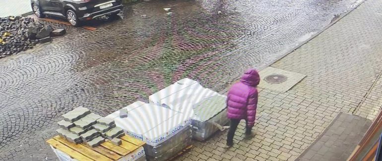 Дівчинка може знаходитися у Мукачеві: тривають пошуки 22-річної жительки села Нове Давидково