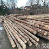 Нелегальна деревина: в Рахівському районі затримали вантажівку з понад 40 кубометрами “ялини”