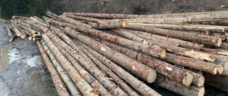 Нелегальна деревина: в Рахівському районі затримали вантажівку з понад 40 кубометрами “ялини”