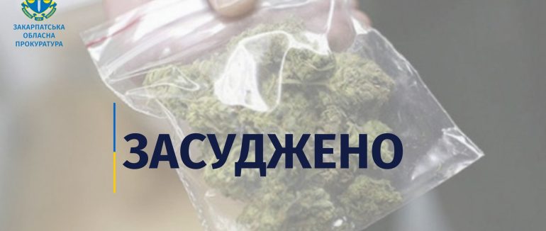 Засудили до 6 років за ґратами: за збут наркотиків мукачівцю обрали вирок