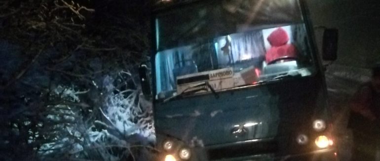 Повалені дерева, знеструмлені населені пункти на транспортні засоби у кюветі: наслідки негоди у Закарпатті