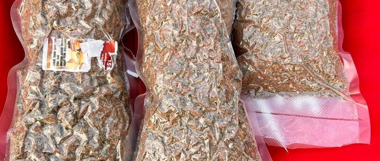 У Виноградові затримали 22-річного наркоторгівця із 1 кг марихуани