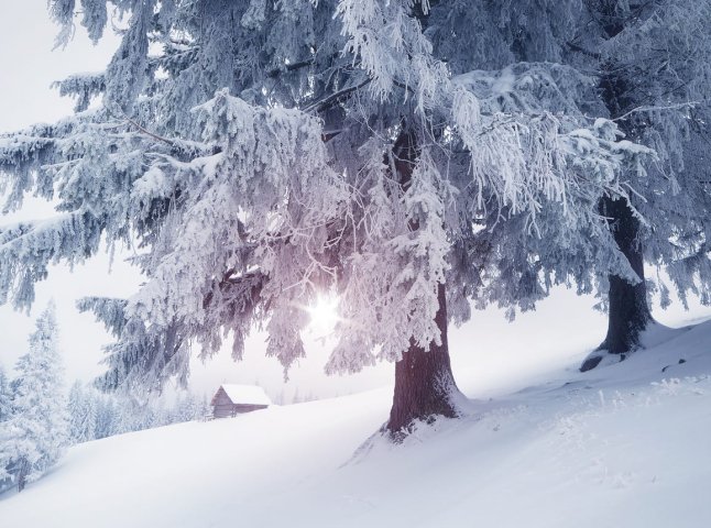 Коли очікувати сильні опади: на Закарпатті вируватиме негода