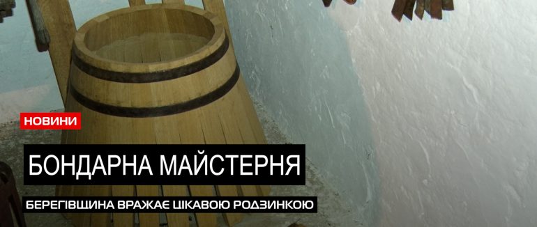 Гідів Закарпаття ознайомили зі спадщиною Берегівського району (ВІДЕО)