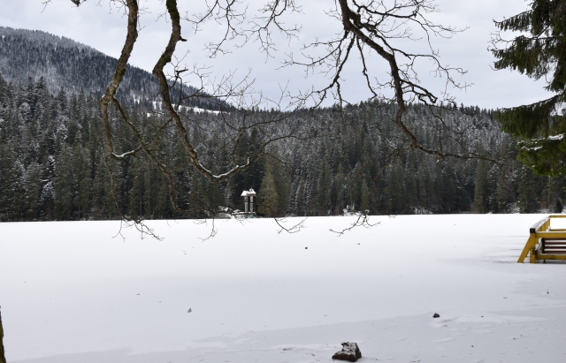 Фото дня: зимове озеро Синевир під кригою та снігом