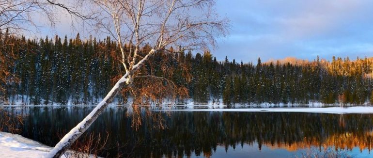 Потепління вже скоро: синоптикиня потішила українців прогнозом погоди