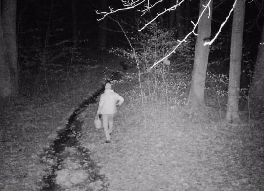 На Закарпатті прикордонники продовжують ловити порушників кордону