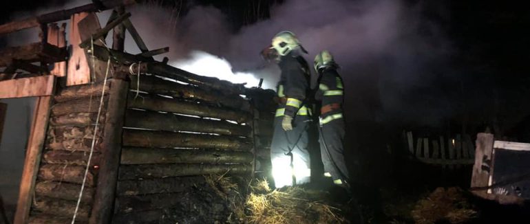 Врятували худобу: в Ужгородському районі рятувальники ліквідували пожежу у надвірній споруді