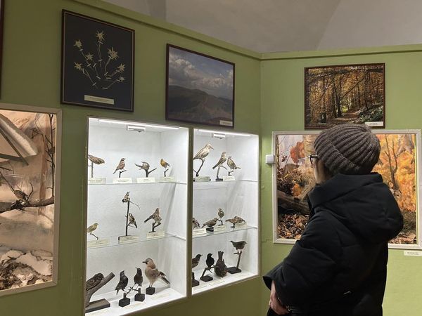 Оновлені зали: Ужгородський замок з новою фотозоною (ФОТО)