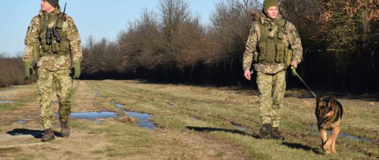 За добу на Закарпатті 16 чоловіків намагалися незаконно перетнути кордон