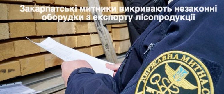 Надійний заслін: закарпатські митники все більше викривають лукаві оборудки з експорту лісової продукції