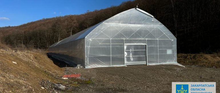 Привласнення 3 млн грн грантових коштів ЄС на проєкті відновлення лісів: на Закарпатті підозрюють трьох осіб