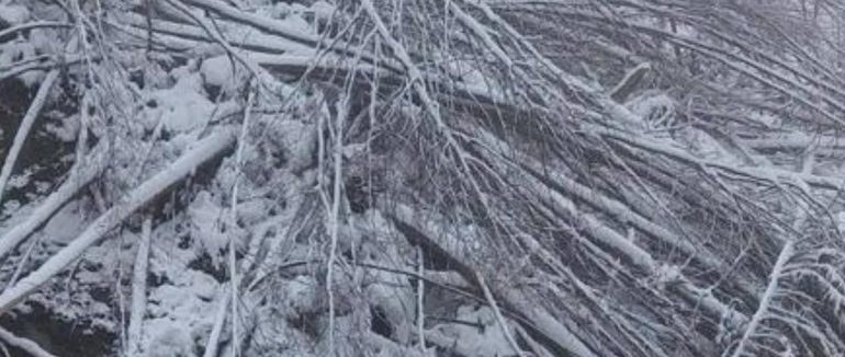 У Тячівського району на місці зсуву ґрунту працюють усі необхідні служби (ВІДЕО)