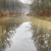 У Берегівському районі залишаються підтопленими 85 га землі