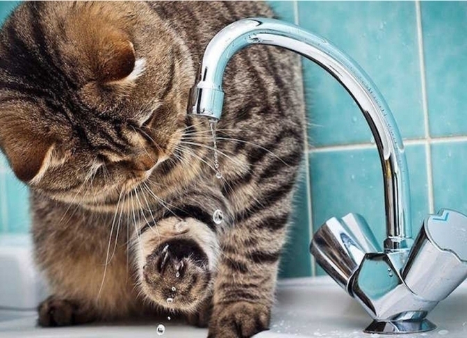 У Мукачеві на 65 вулицях сьогодні не буде води