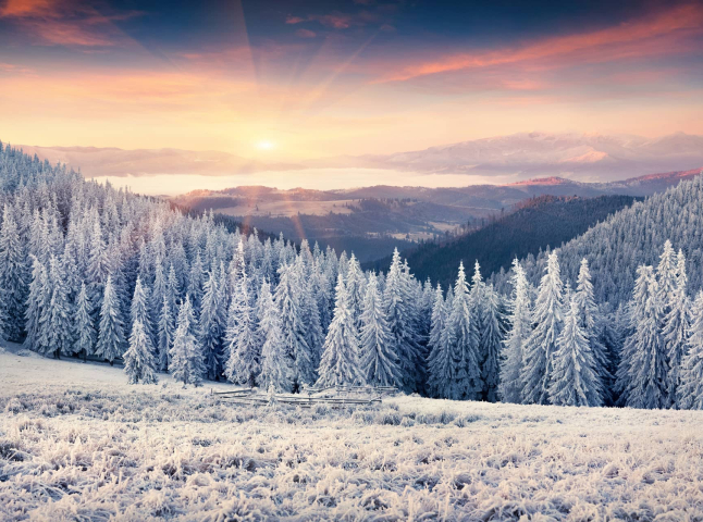 Коли закарпатцям очікувати мороз