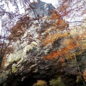 Заповідники Закарпатської області: 4 основні об’єкти