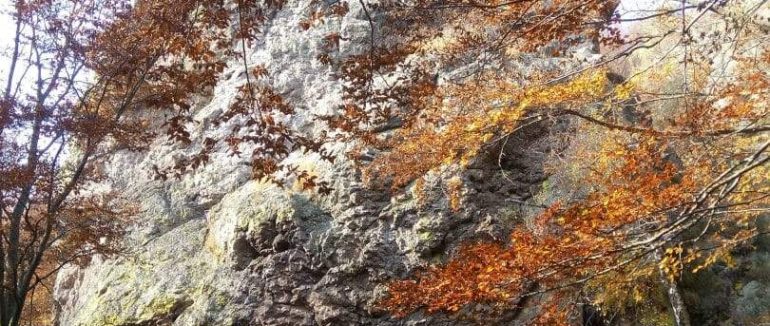 Заповідники Закарпатської області: 4 основні об’єкти