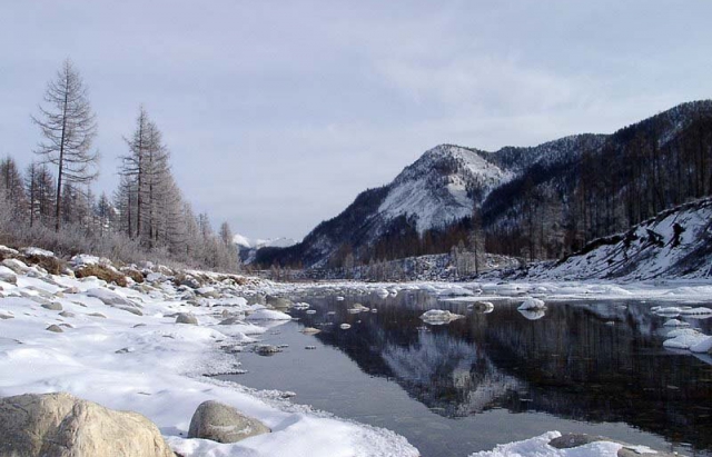 У Берегівському районі на березі Тиси виявили утопленика