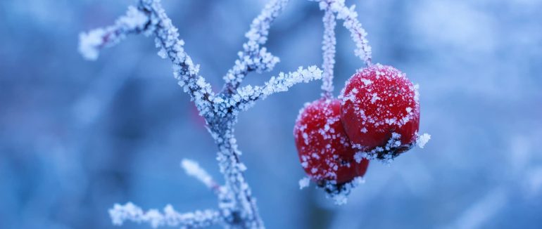 На Закарпатті вдень буде тепло, а вночі морозяно: прогноз погоди на тиждень