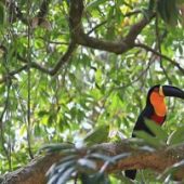 Острів смерті: що відомо про одне з найнебезпечніших місць на землі