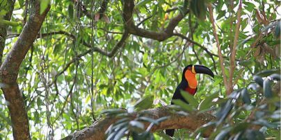 Острів смерті: що відомо про одне з найнебезпечніших місць на землі