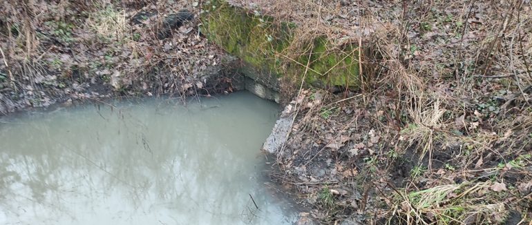 На Мукачівщині у річку потрапили нафтопродукти