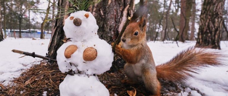 Синоптикиня повідомила, коли до України знову повернуться морози
