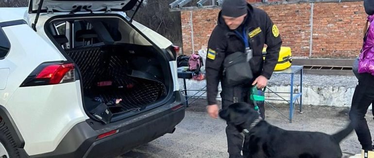 На закарпатському кордоні «митний» пес винюхав в авто солідну суму валютної готівки