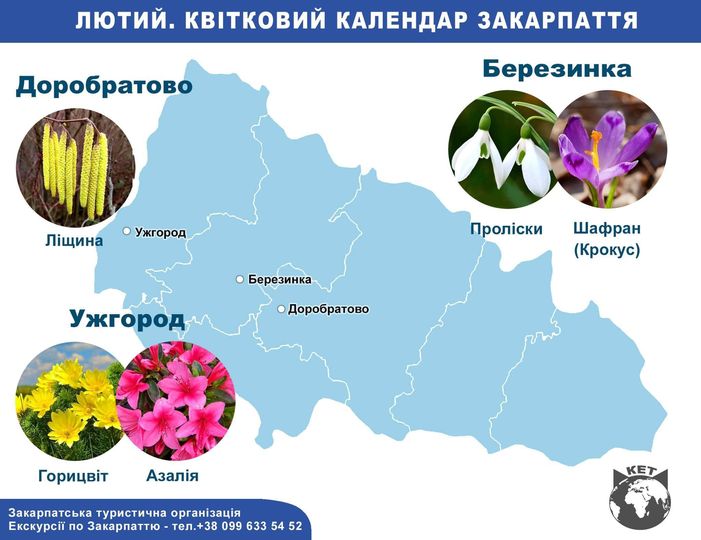 Квітковий туризм в Закарпатті: три найквітучіші локації