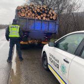 Закарпатські патрульні виявили водія, який незаконно перевозив деревину
