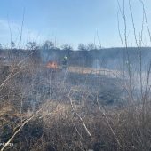 На Закарпатті вогонь знищив майже 5 гектарів сухостою