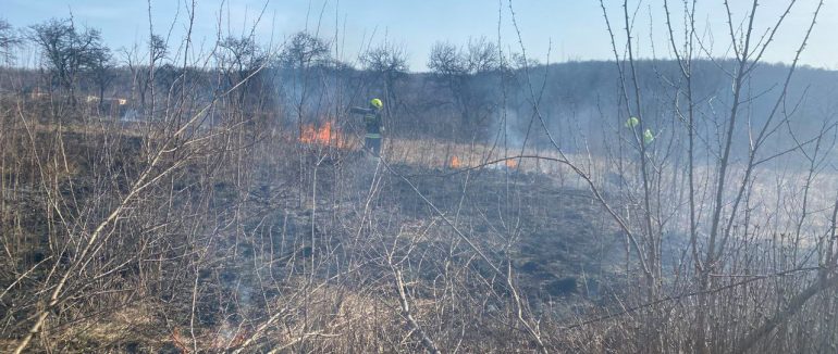 На Закарпатті вогонь знищив майже 5 гектарів сухостою